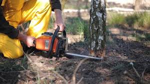 Lawn Irrigation Installation and Maintenance in Meridian, TX